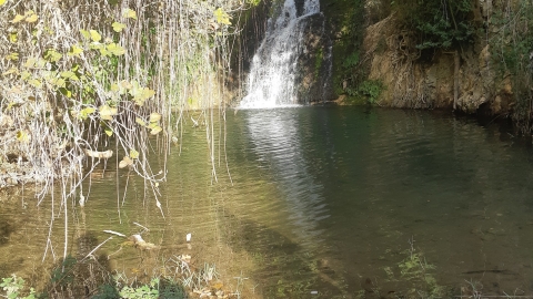 מטיילים עם מיכה בלצ'ינסקי: טיול - טיולים ונופש בפתח תקווה