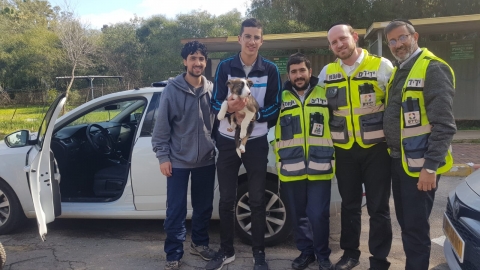 2 כלבים ננעלו ברכב בכניסה - חדשות בפתח תקווה