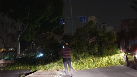 הסערה החלה: עצים קרסו וחסמו - חדשות בפתח תקווה