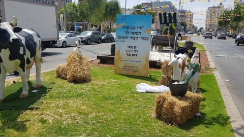 6 כיכרות ברחבי העיר קושטו - איכות הסביבה וחזות העיר בפתח תקווה