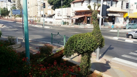 פרויקט פינוי בינוי בשכונת עקיבא - בנייה ונדל