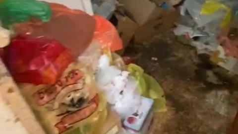 "מחריד לראות שאדם בן 70 - חדשות בפתח תקווה