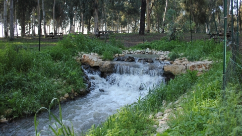 אישה נפצעה מפיצוץ של גזיה - חדשות בפתח תקווה