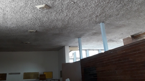 המשרד להגנ"ס מפרסם להערות הציבור - איכות הסביבה וחזות העיר בפתח תקווה