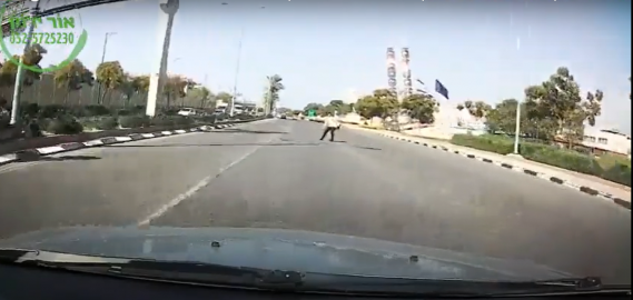 התפרץ לכביש וכמעט סיים את - חדשות בפתח תקווה