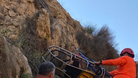 פצועה חולצה מנחל אל על - חדשות בפתח תקווה