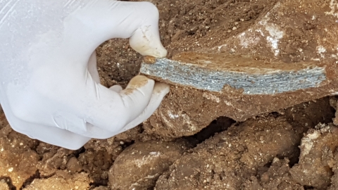 עיריית ראש העין ותאגיד המים - איכות הסביבה וחזות העיר בפתח תקווה