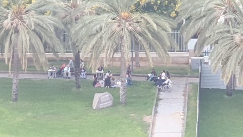 גרינברג (לא טעות): עשו סקר - חדשות בפתח תקווה