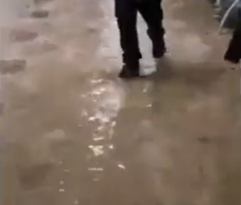 צפו: כרמל הגיעה לבילינסון וגרמה - חדשות בפתח תקווה