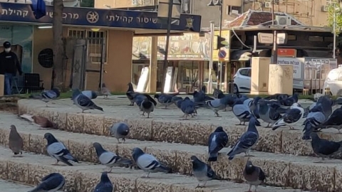 צריכים לעשות פיפי - לכו - חדשות בפתח תקווה