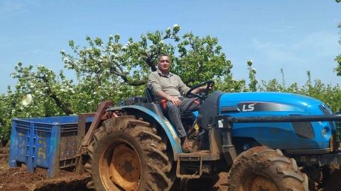 "מזיק שפלש לישראל כחלק מייבוא - צרכנות בפתח תקווה