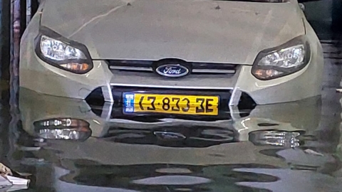 דרוש מציל שהוא גם אינסטלטור - חדשות בפתח תקווה