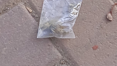 מה מצא תושב שכונת עמישב - חדשות בפתח תקווה