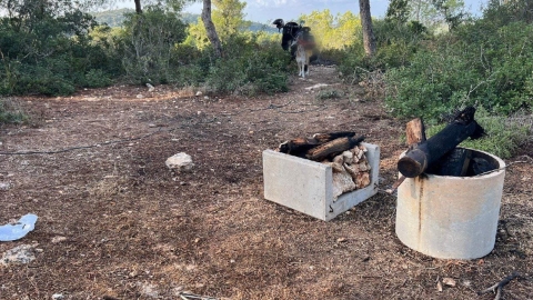 קילקלו לו את הקומזיץ כאשר - חדשות בפתח תקווה