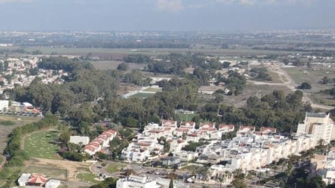 התחדש המאבק נגד כריתת 3,400 - איכות הסביבה וחזות העיר בפתח תקווה