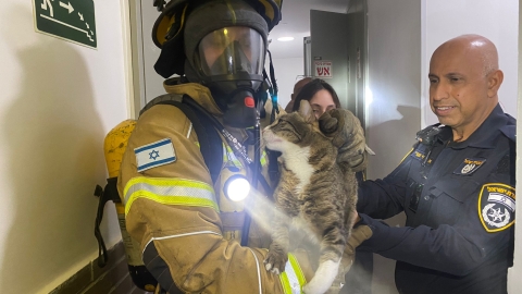 שריפה פרצה בדירה ברח' לוין - חדשות בפתח תקווה