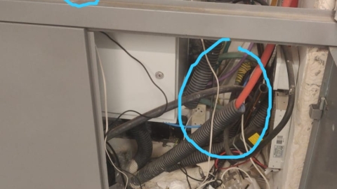 חתכו את חוטי מצלמות האבטחה - חדשות בפתח תקווה
