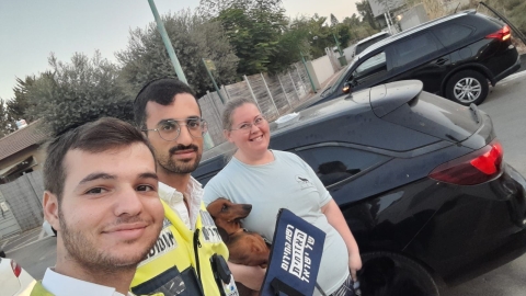 3 כלבים ננעלו ברכב לעיני - בעלי חיים בפתח תקווה