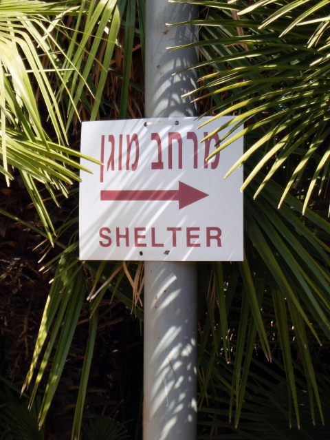 ארגון בטרם: כך תמנעו תאונות - חדשות בפתח תקווה