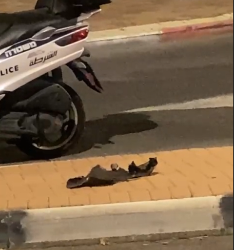 רסיסי טילים נפלו בפתח - חדשות בפתח תקווה