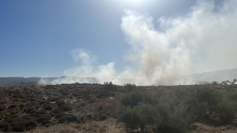 זו הסיבה לריח השריפה המעיק - איכות הסביבה וחזות העיר בפתח תקווה