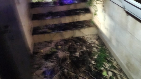 2 אירועי ירי על - חדשות בפתח תקווה