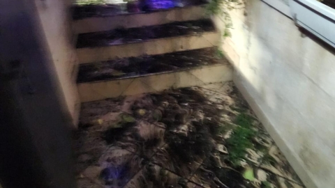 נעצרו 3 חשודים במעורבות בהשלכות - חדשות בפתח תקווה