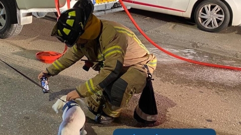 אמש: שריפה פרצה בדירה ברח' - חדשות בפתח תקווה