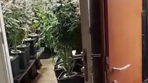 צרכה חשמל ב-220,000 ש"ח - חדשות בפתח תקווה