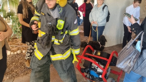 שריפה פרצה בדירה ברח' העצמאות - חדשות בפתח תקווה