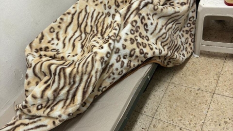 חשפו את "התחפושת" - קרטונים - חדשות בפתח תקווה