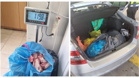 מפקחי משרד החקלאות סיכלו ניסיון - בריאות בפתח תקווה