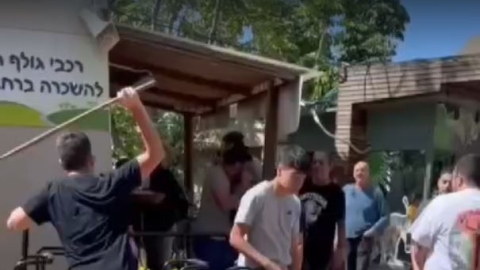 "בילוי" בשבת בספארי: מכות עם - חדשות בפתח תקווה