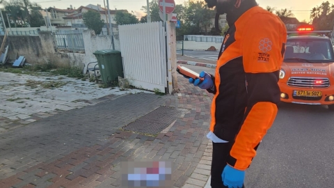נעצרו  2 חשודים במעורבות - חדשות בפתח תקווה