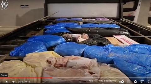 הבשר בבגז' - חדשות בפתח תקווה