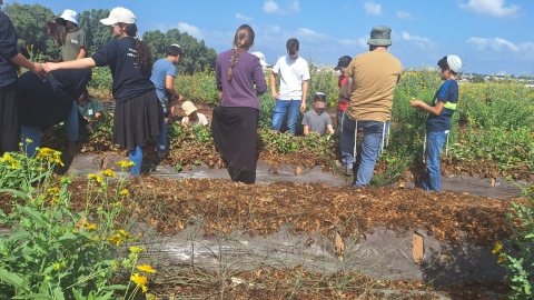 450 בני ובנות נוער מהשומרון - קהילות בפתח תקווה