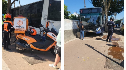 נהג אוטובוס התנגש בעץ ונפצע - חדשות בפתח תקווה