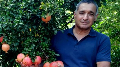 מגדלי הפירות בישראל קוראים לציבור - קהילות בפתח תקווה