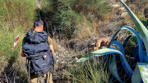 לאחר חיפושים קדחתניים אחר הנעדר - חדשות בפתח תקווה