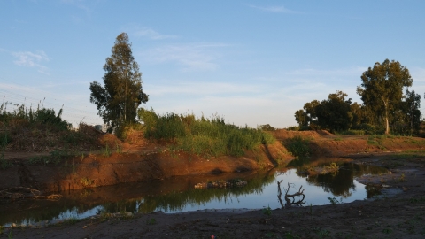 חנוכת מקטע "הדר הירקון" - - איכות הסביבה וחזות העיר בפתח תקווה