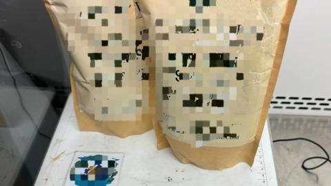 נחשף משלוח מיוחד מבלגיה לתושב - חדשות בפתח תקווה