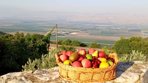 לקראת ט"ו בשבט צרכו פירות - אוכל בפתח תקווה