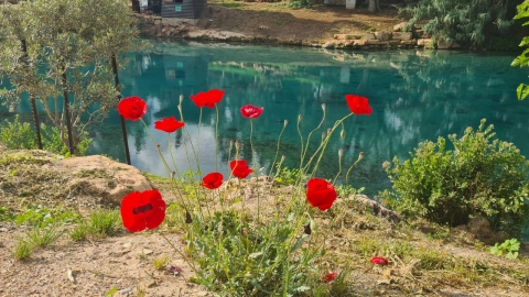 מרבית הגנים הלאומיים ושמורות הטבע ברחבי הארץ נפתחים מחדש