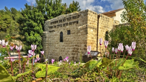 לטייל ביום העצמאות עם רשות הטבע והגנים