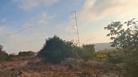 אלפי ציפורי שיר ניצודות ברשתות - בעלי חיים בפתח תקווה